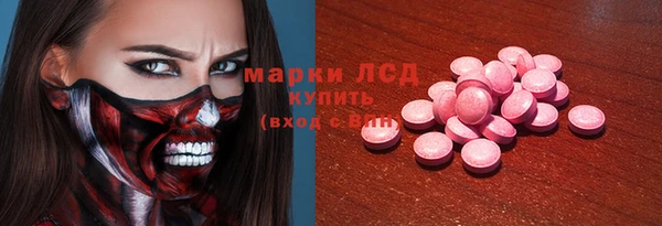 стаф Алзамай