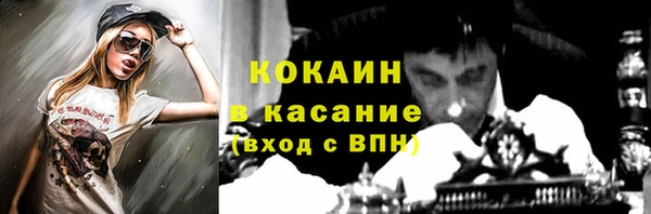 стаф Алзамай