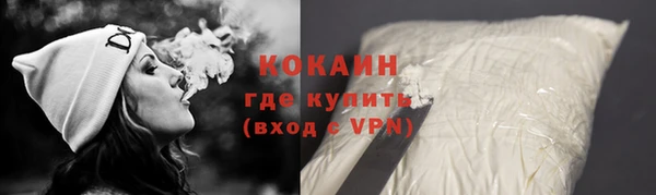 стаф Алзамай