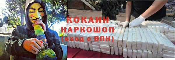 хмурый Алексин