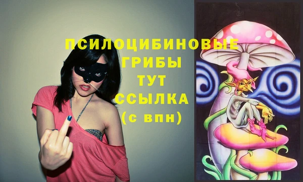 хмурый Алексин